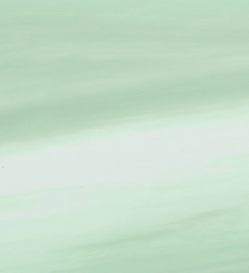 Kolor niecki Platinum