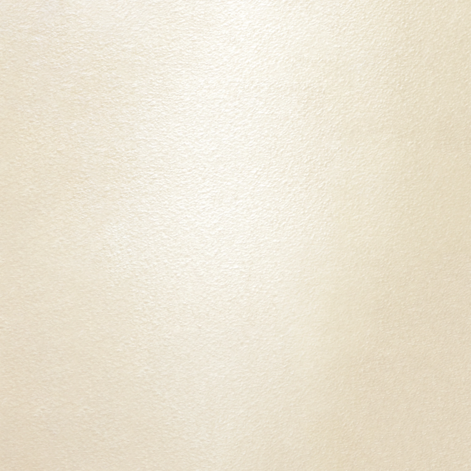 Kolor niecki Silver Pearl